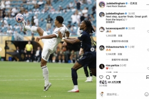 博彩运营商参与红树林保护